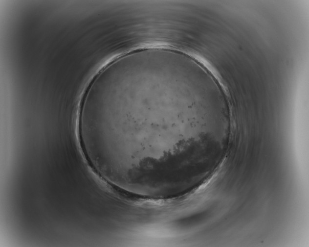X0000088921245200706081353