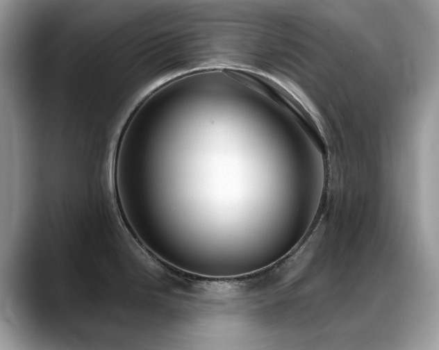 X0000088921246200706081353
