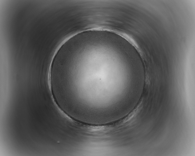 X0000088921247200706081354