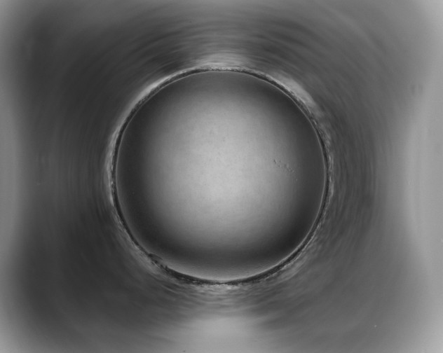 X0000088921248200706081354