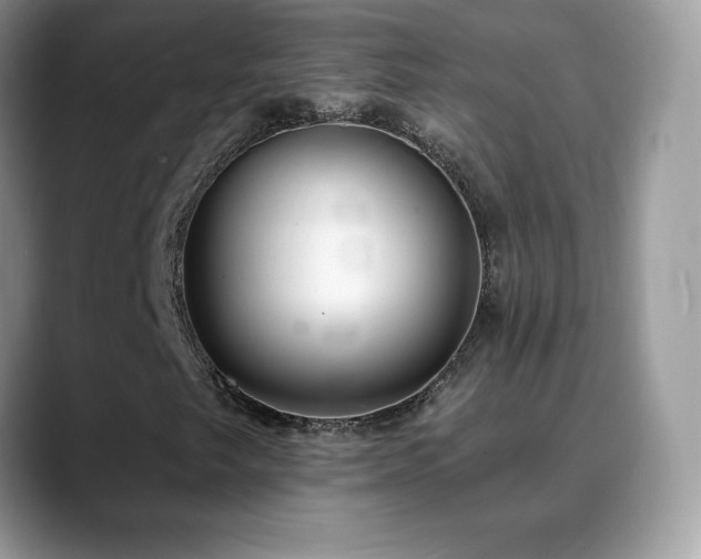 X0000088921249200706081353