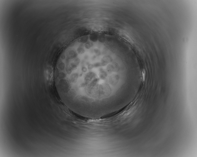 X0000088921251200706081353