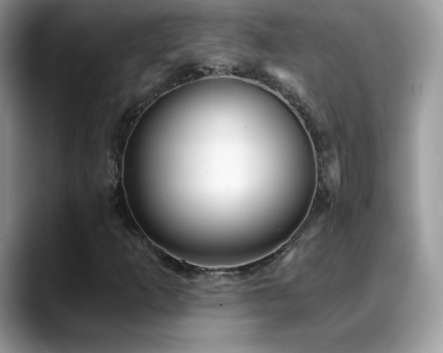 X0000088921253200706081353