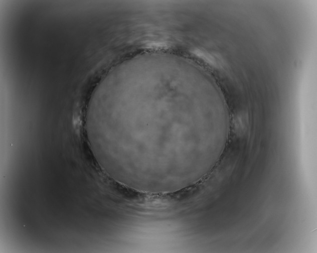 X0000088921254200706081353