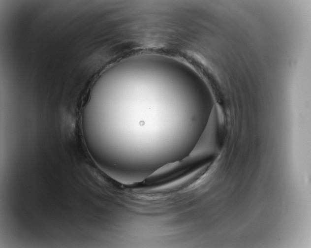 X0000088921257200706081353