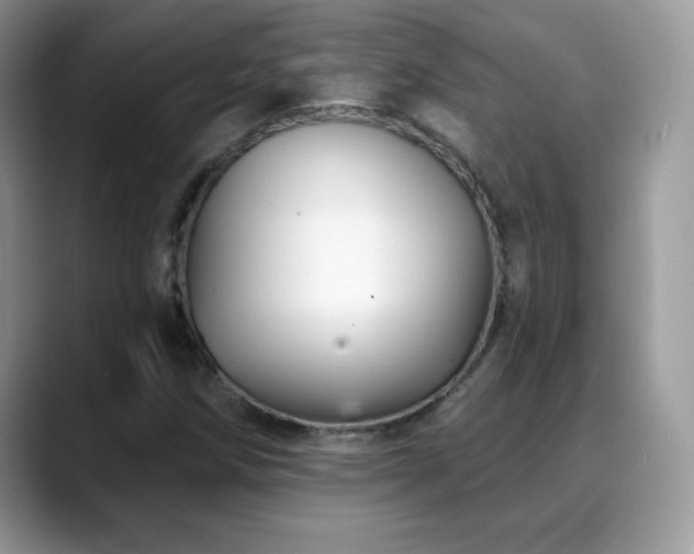 X0000088921258200706081353