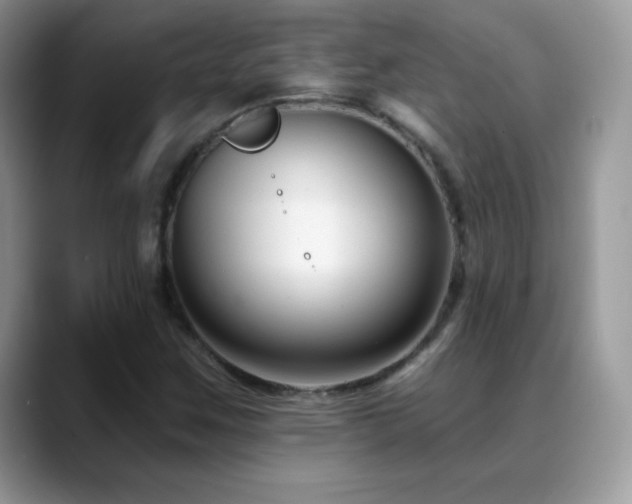 X0000088921259200706081353