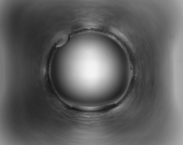X0000088921261200706081353