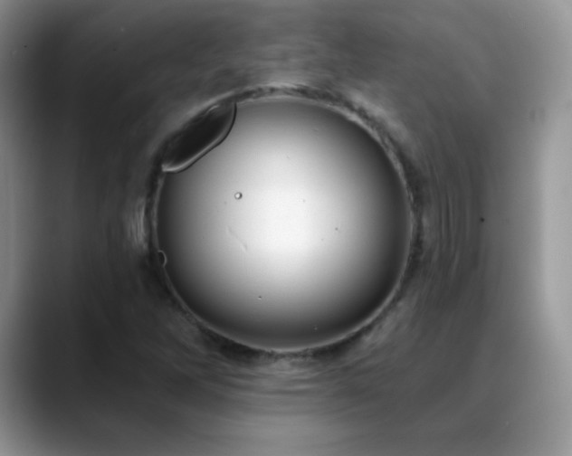 X0000088921262200706081353