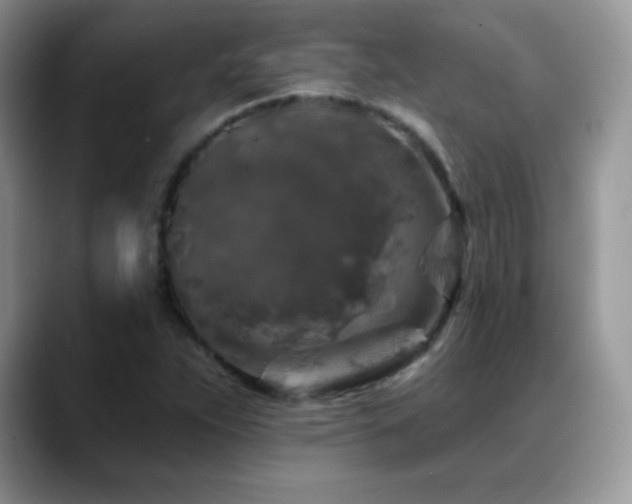 X0000088921263200706081353