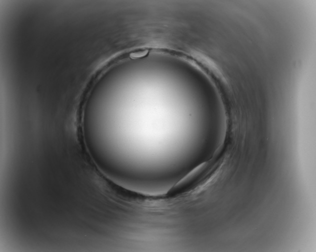 X0000088921264200706081353