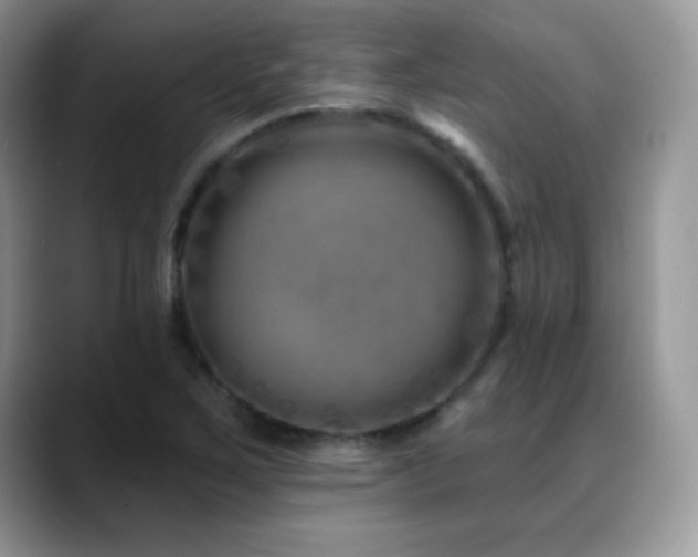 X0000088921267200706081353