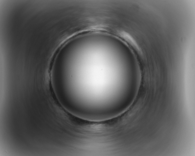 X0000088921268200706081353