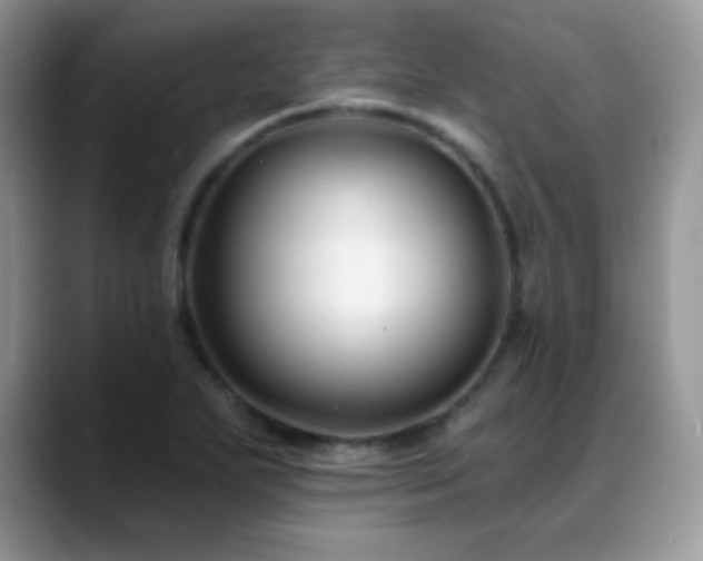 X0000088921271200706081353
