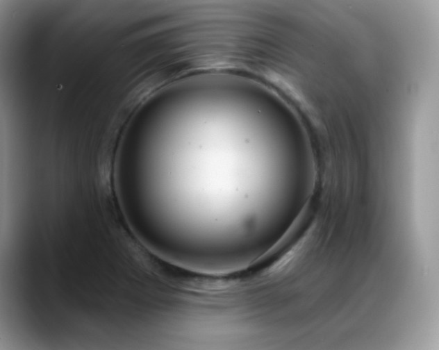 X0000088921273200706081353