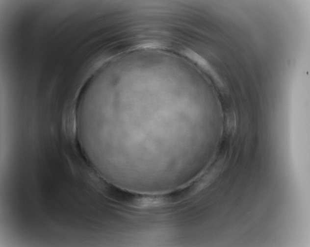 X0000088921274200706081353