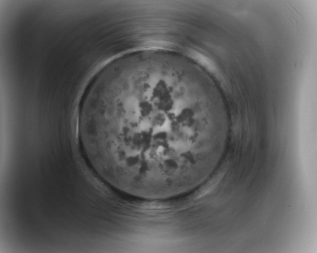 X0000088921275200706081353