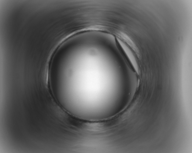 X0000088921276200706081353