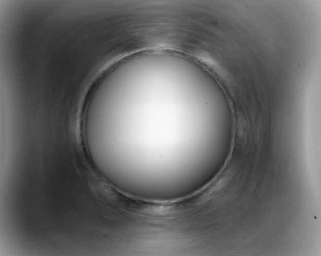 X0000088921278200706081353