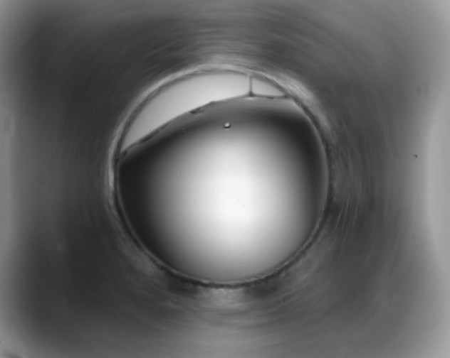 X0000088921280200706081353