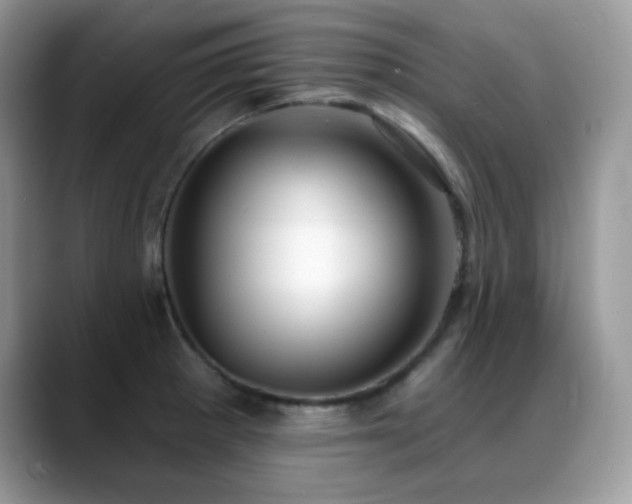 X0000088921281200706081353