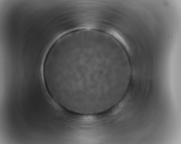 X0000088921283200706081353