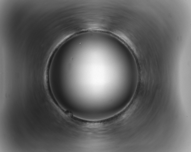 X0000088921285200706081353