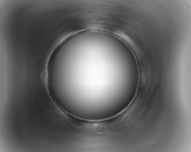 X0000088921286200706081353