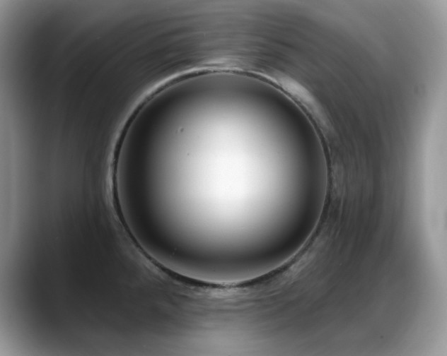 X0000088921288200706081353