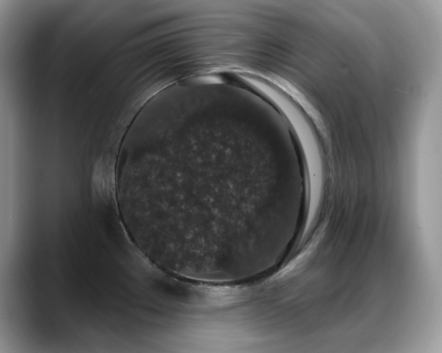 X0000088921289200706081352