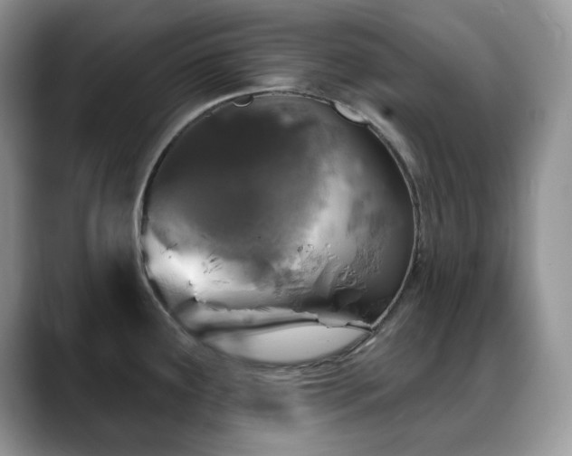 X0000088921291200706081352