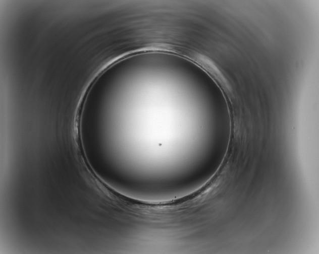 X0000088921292200706081352