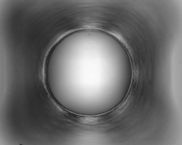 X0000088921294200706081352