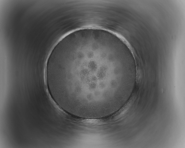 X0000088921295200706081352