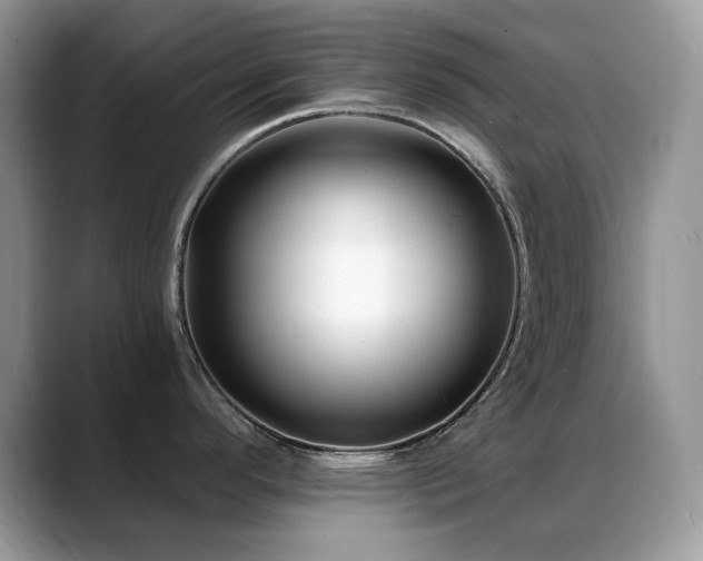 X0000088921296200706081352