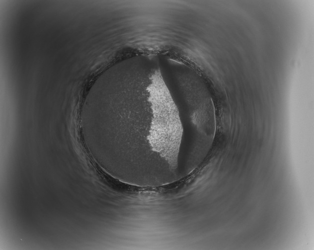 X0000088921297200706081352