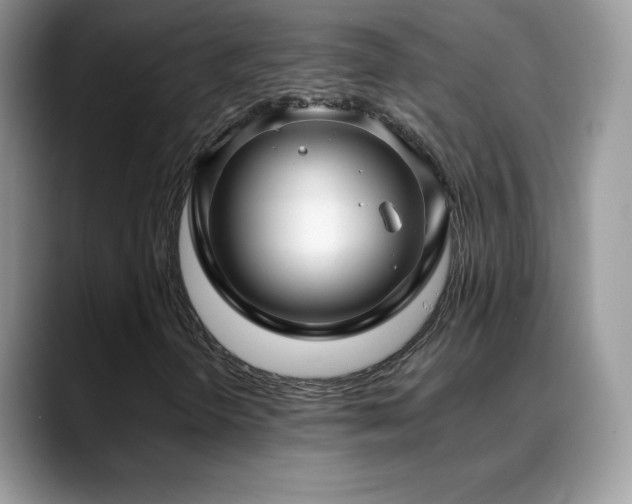 X0000088921298200706081352