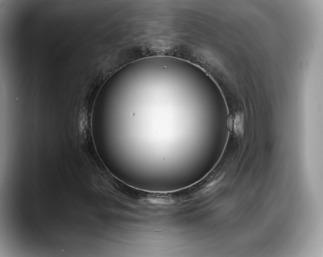 X0000088921299200706081352