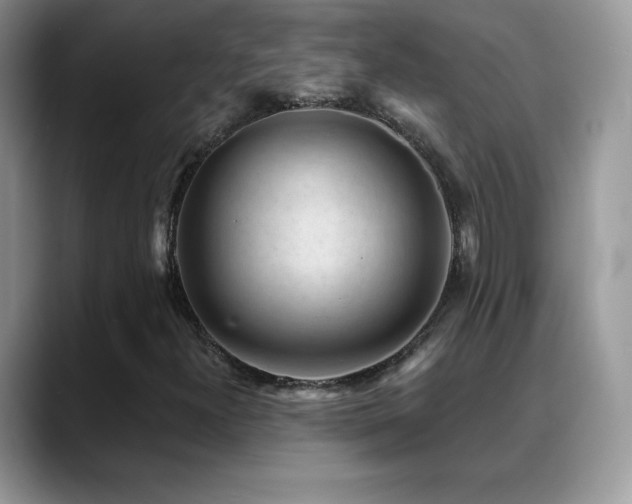 X0000088921300200706081352