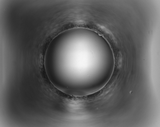 X0000088921301200706081352