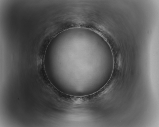 X0000088921302200706081352