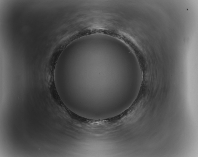 X0000088921303200706081352