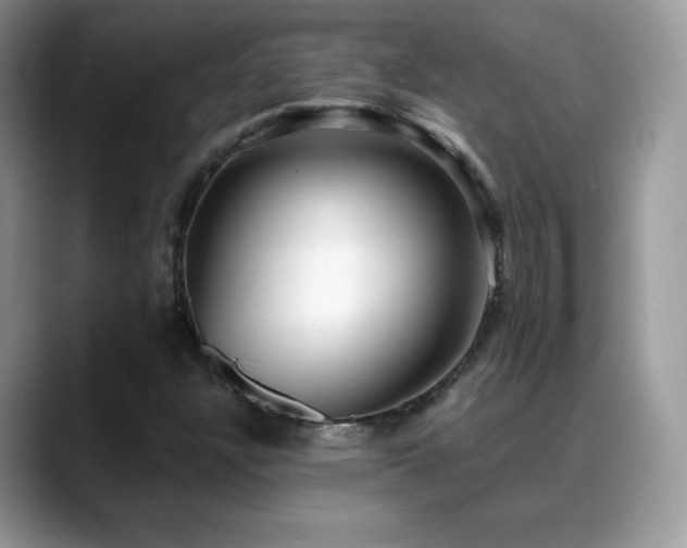 X0000088921304200706081352