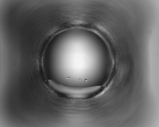 X0000088921305200706081352