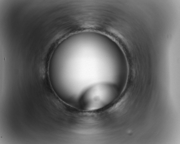 X0000088921306200706081352