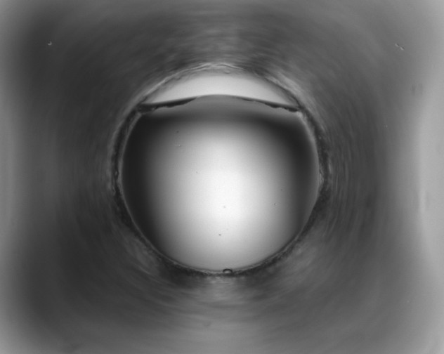 X0000088921308200706081352