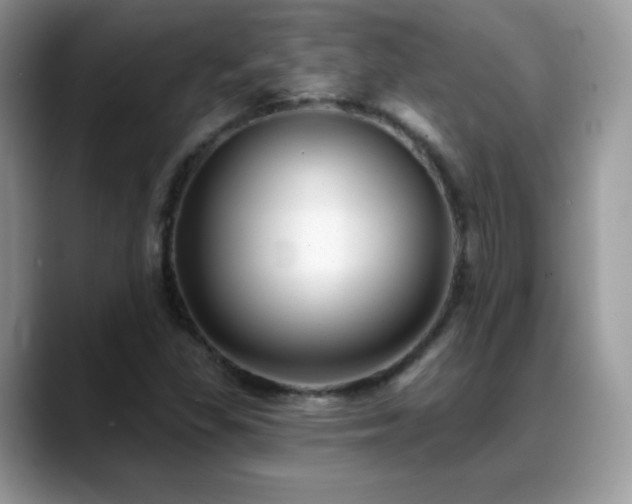 X0000088921309200706081352