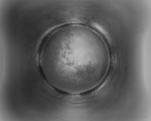 X0000088921310200706081352