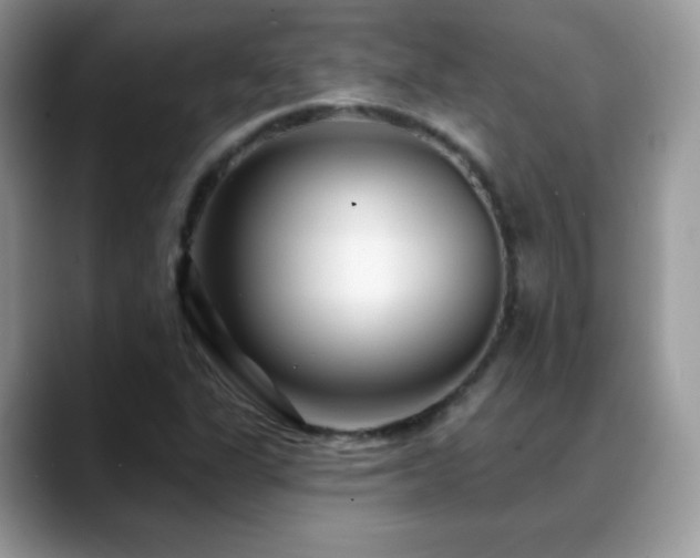 X0000088921311200706081352