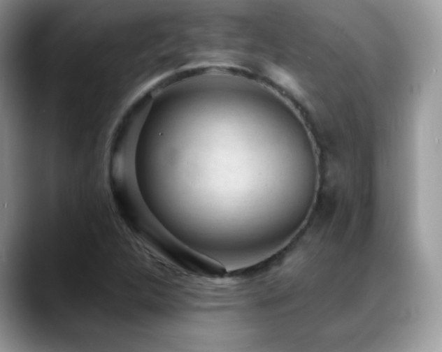 X0000088921312200706081352